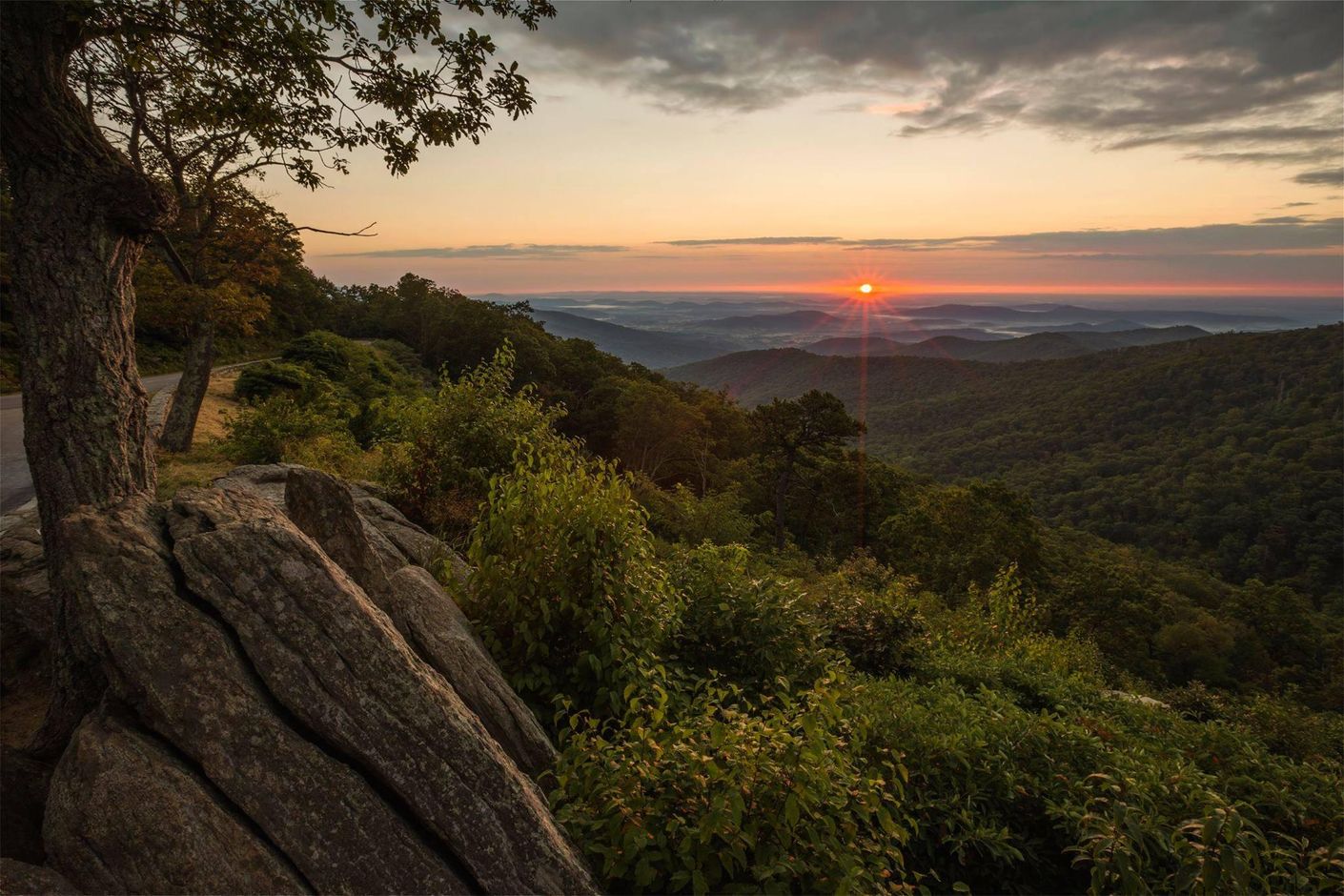 Discover the Capital Region